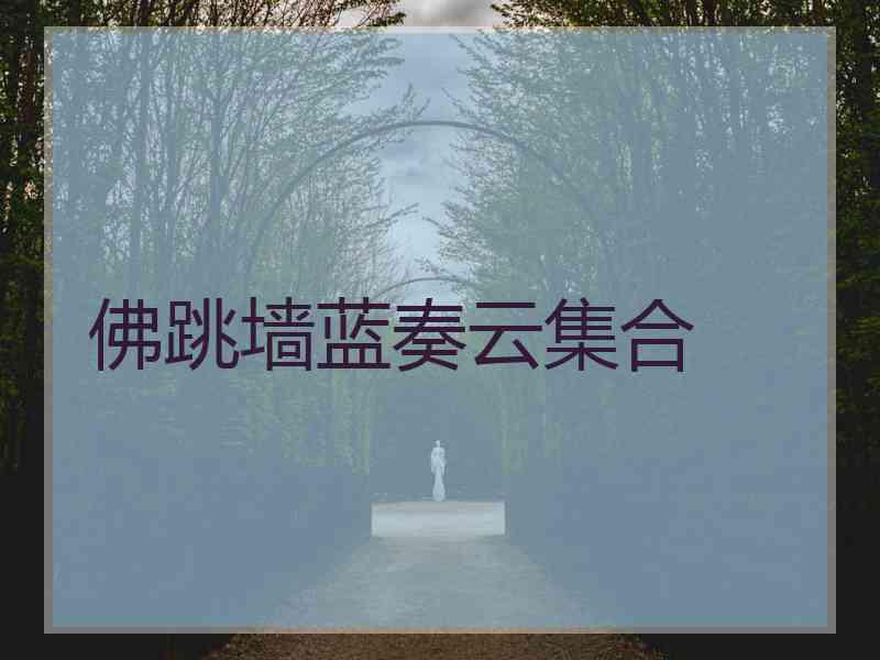 佛跳墙蓝奏云集合