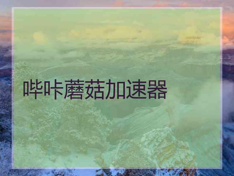 哔咔蘑菇加速器