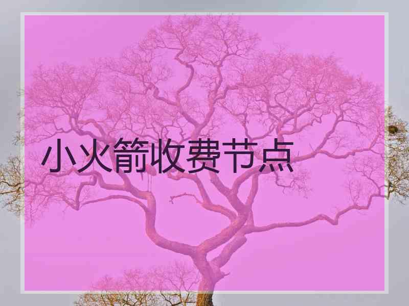 小火箭收费节点