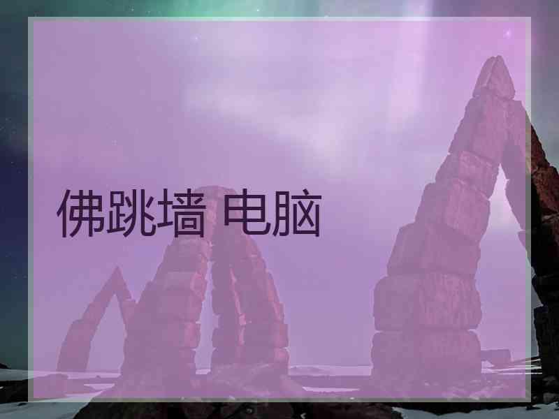 佛跳墙 电脑