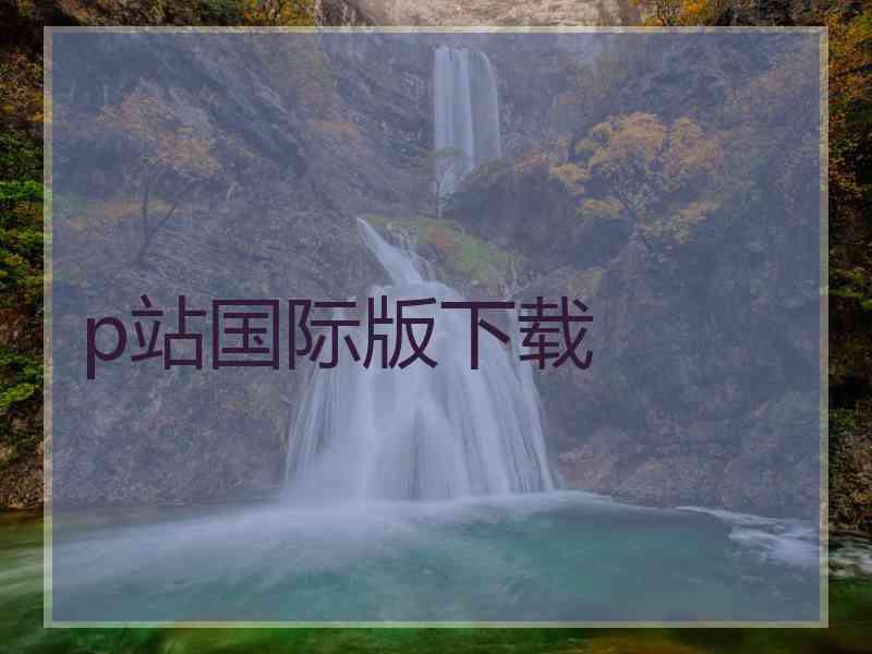 p站国际版下载