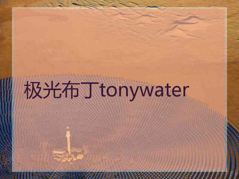 极光布丁tonywater