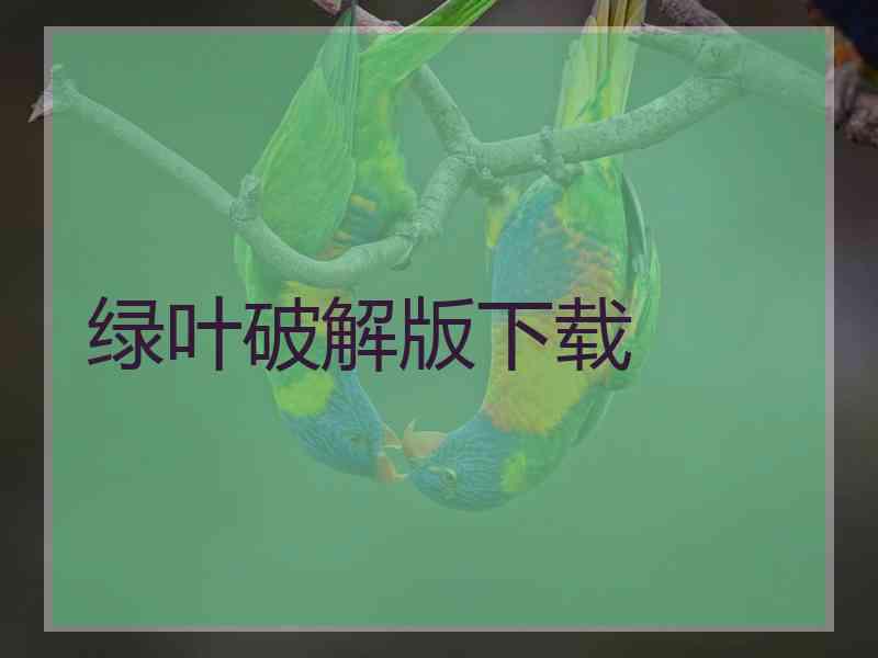 绿叶破解版下载