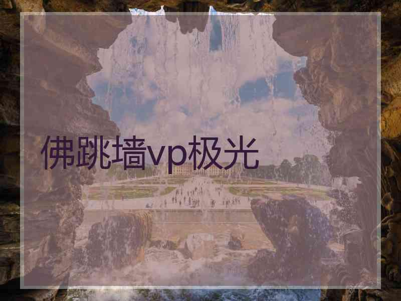 佛跳墙vp极光
