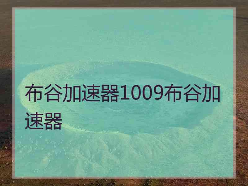 布谷加速器1009布谷加速器