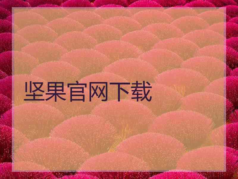 坚果官网下载