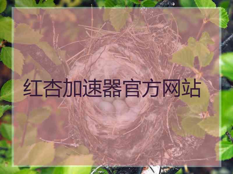 红杏加速器官方网站