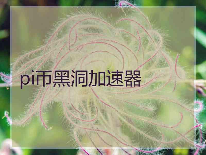pi币黑洞加速器