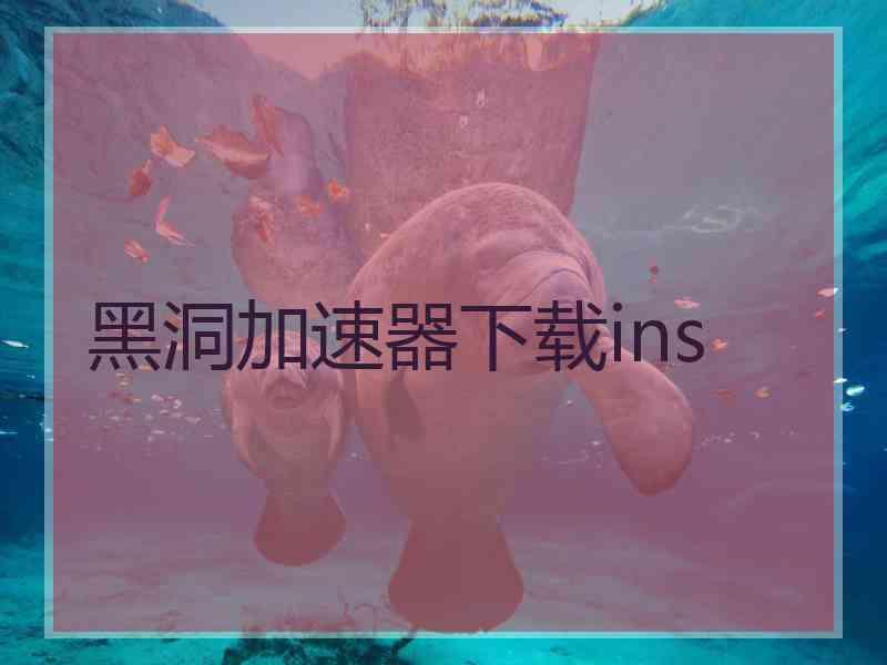 黑洞加速器下载ins