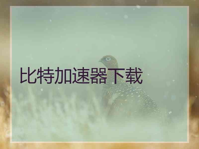 比特加速器下载