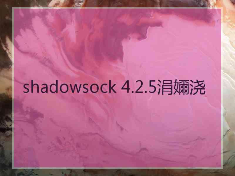 shadowsock 4.2.5涓嬭浇