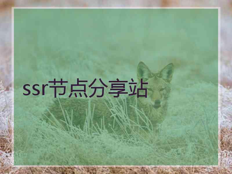 ssr节点分享站