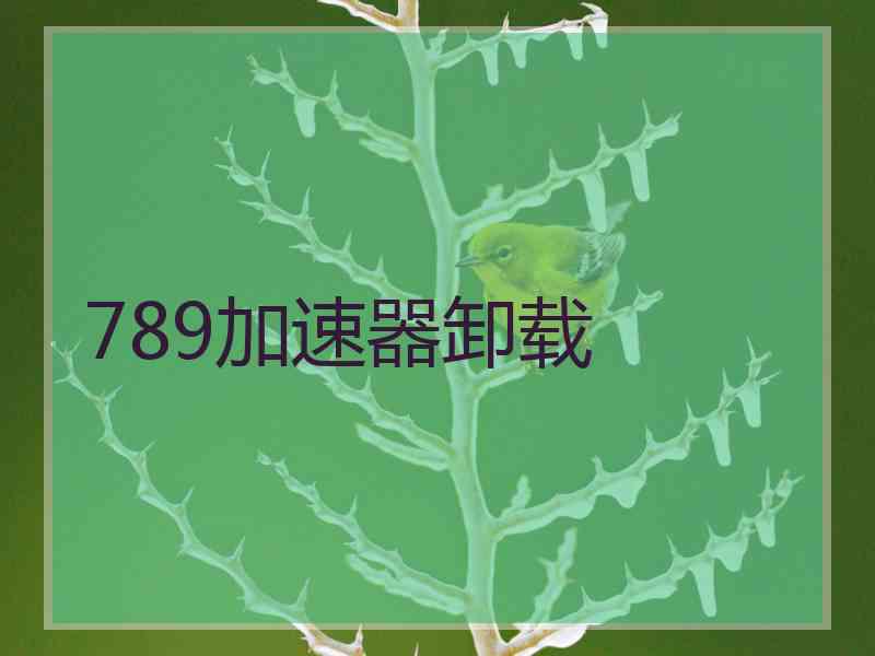 789加速器卸载