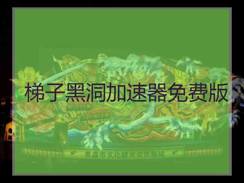 梯子黑洞加速器免费版