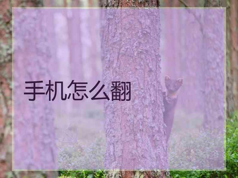 手机怎么翻