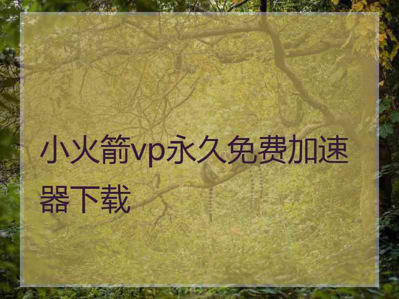 小火箭vp永久免费加速器下载