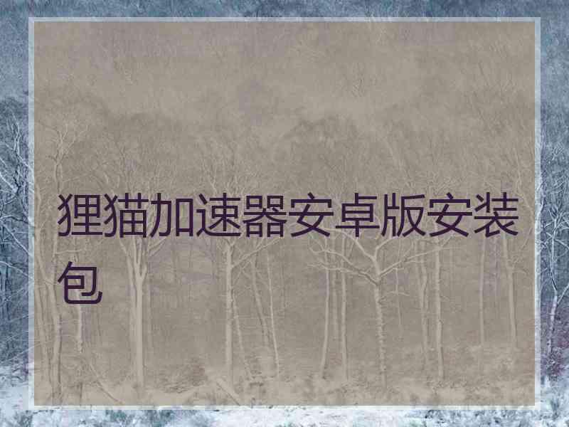 狸猫加速器安卓版安装包