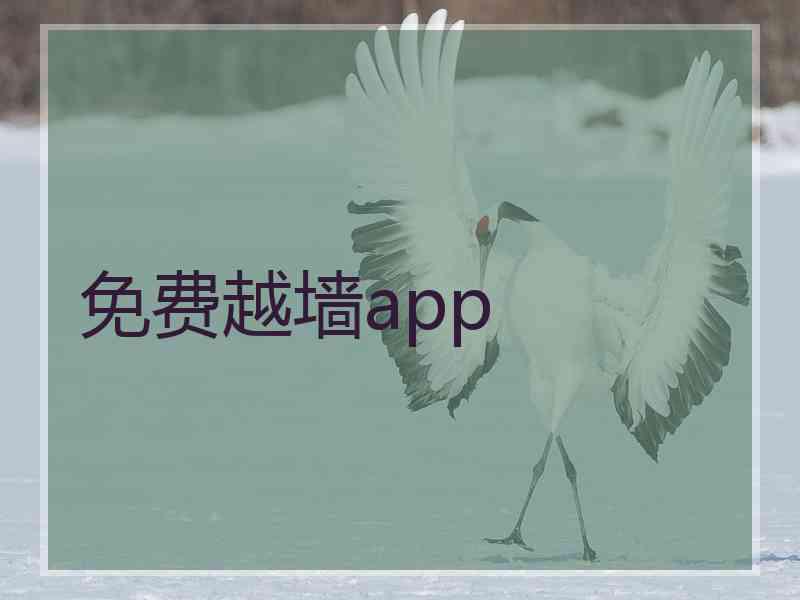 免费越墙app