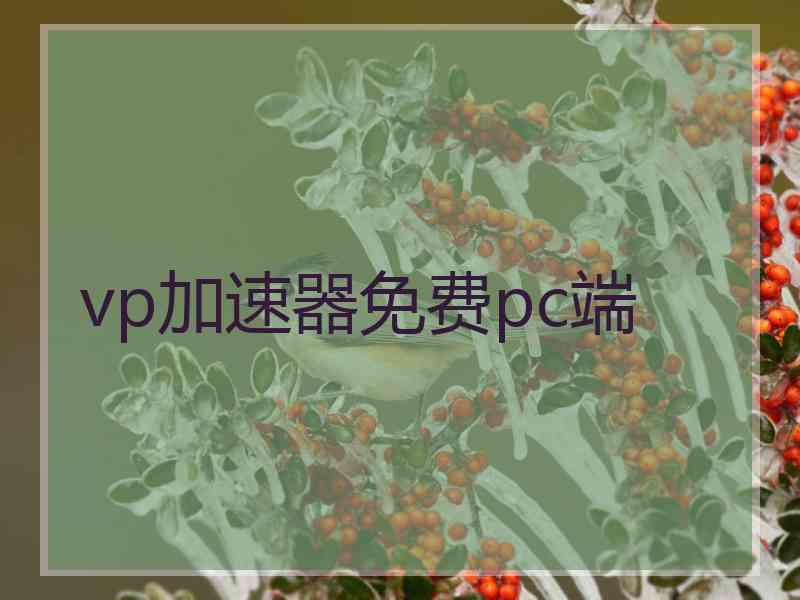 vp加速器免费pc端