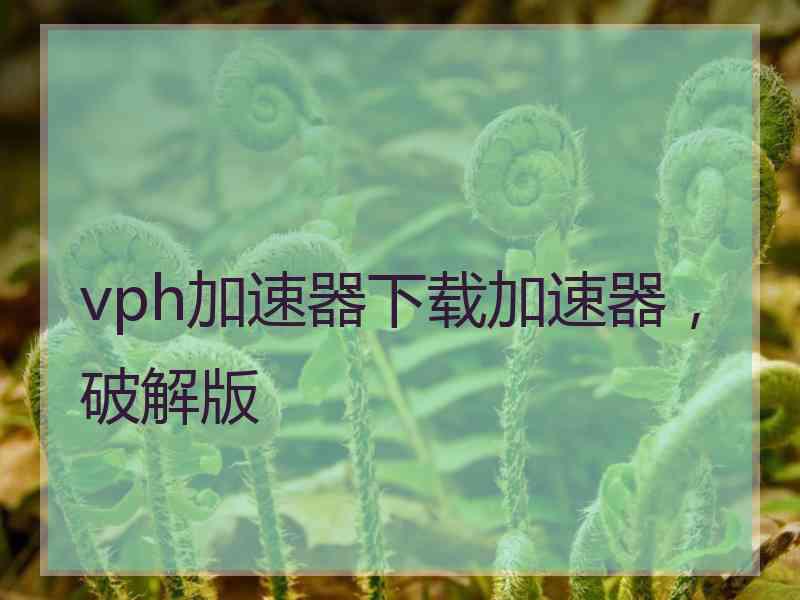 vph加速器下载加速器，破解版