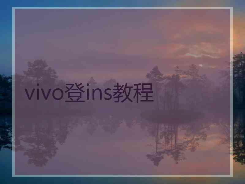vivo登ins教程