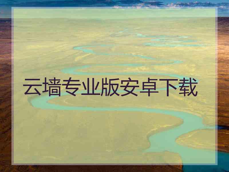 云墙专业版安卓下载