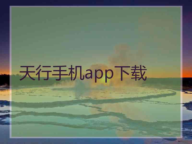 天行手机app下载