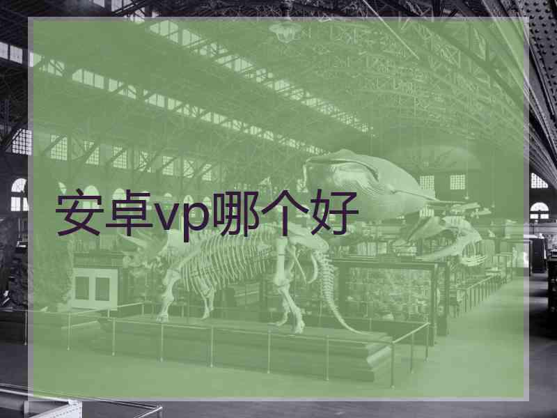 安卓vp哪个好