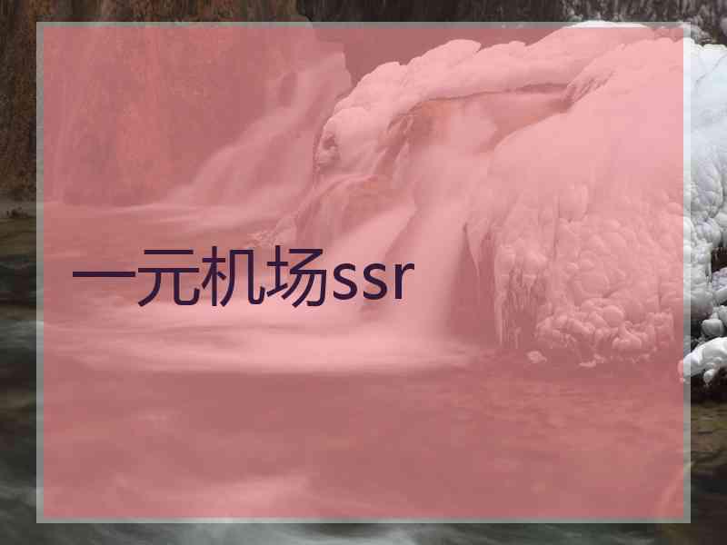 一元机场ssr