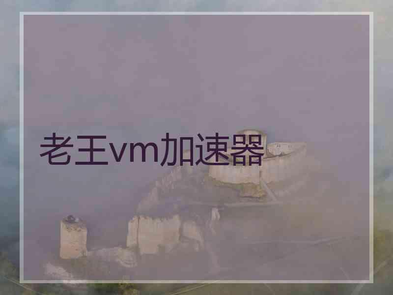 老王vm加速器