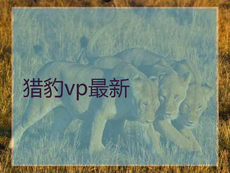 猎豹vp最新