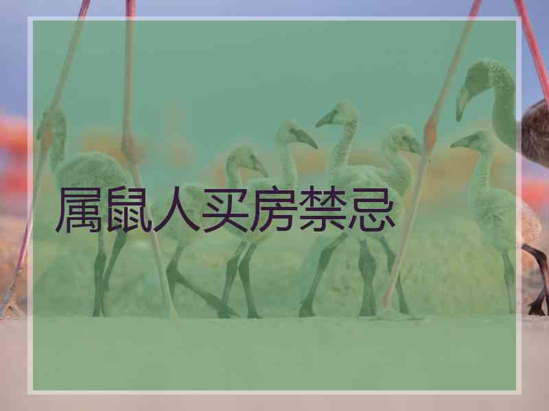 属鼠人买房禁忌
