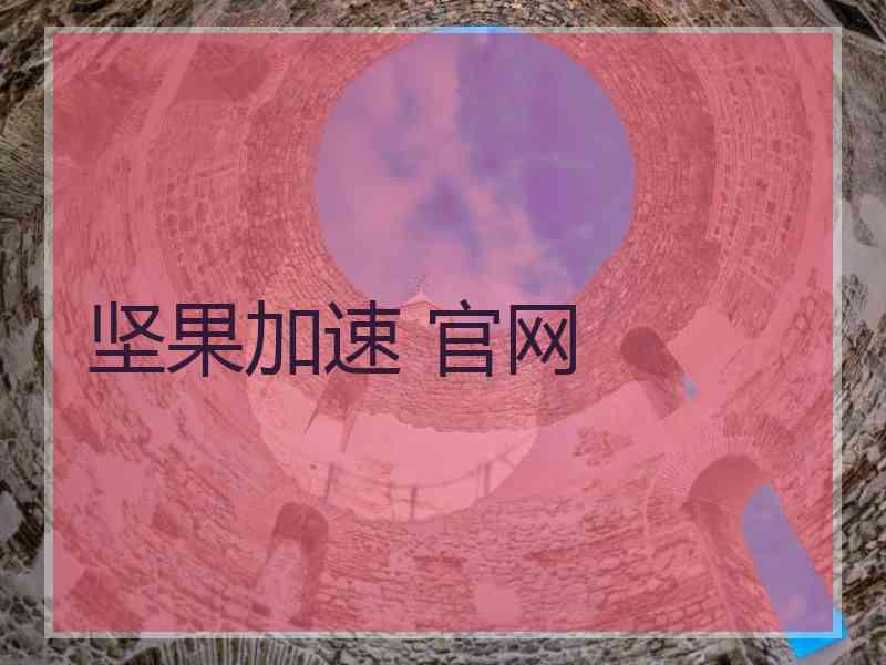 坚果加速 官网