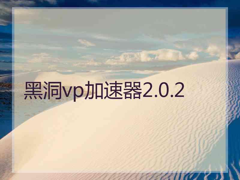黑洞vp加速器2.0.2