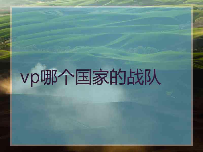 vp哪个国家的战队