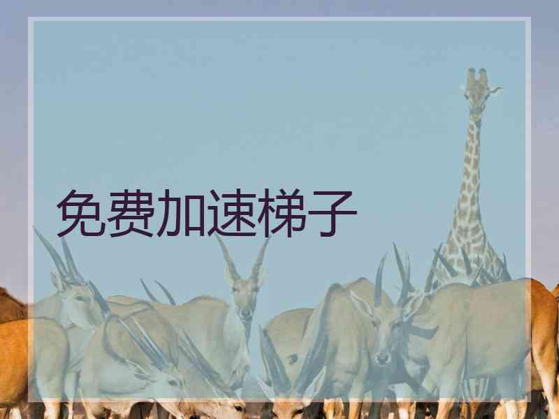 免费加速梯子