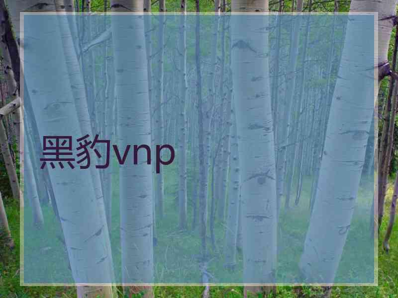 黑豹vnp