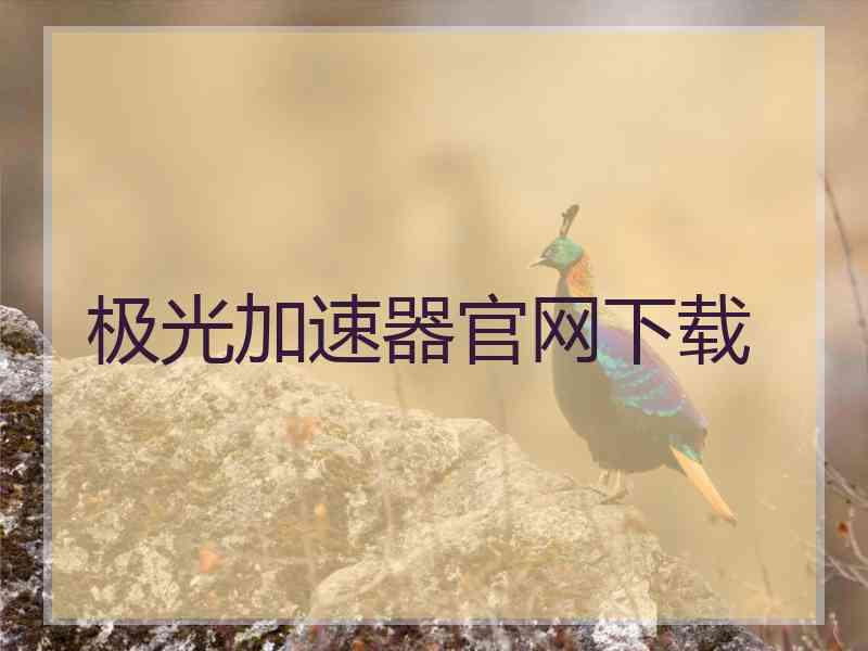 极光加速器官网下载