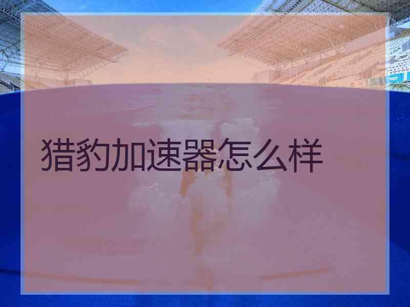 猎豹加速器怎么样