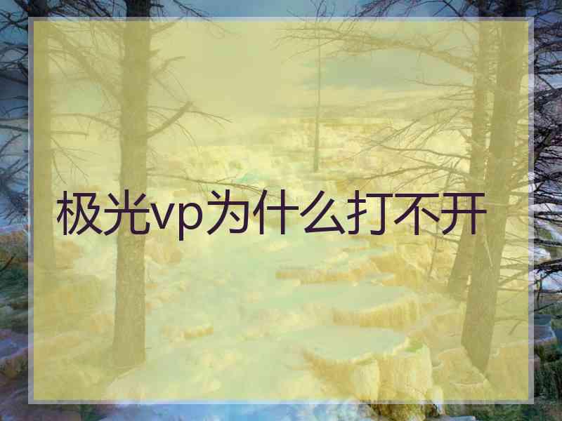 极光vp为什么打不开