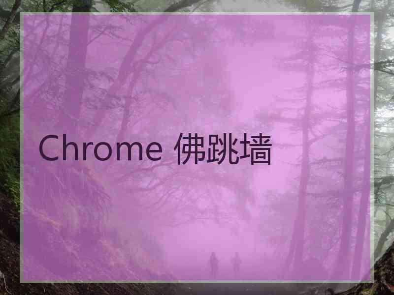 Chrome 佛跳墙