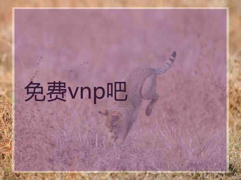 免费vnp吧