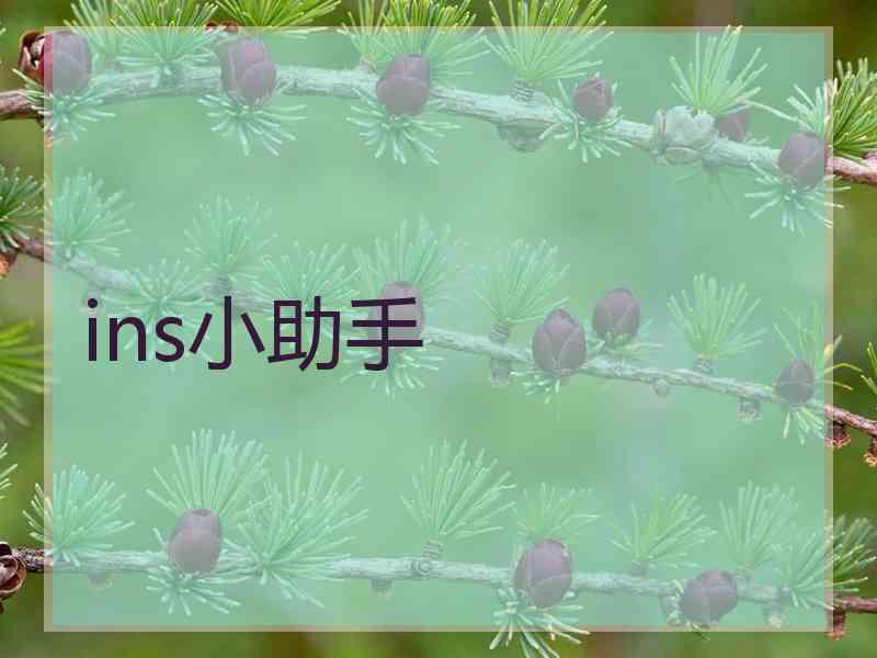 ins小助手