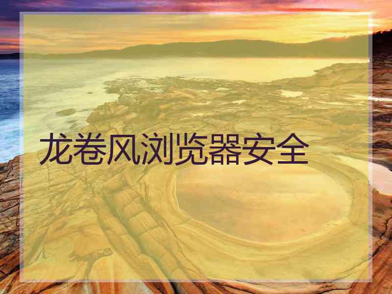 龙卷风浏览器安全