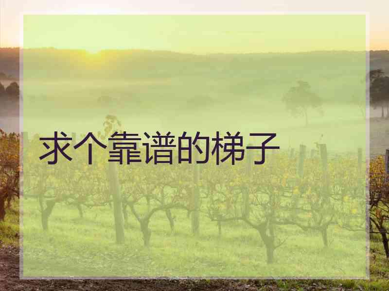 求个靠谱的梯子