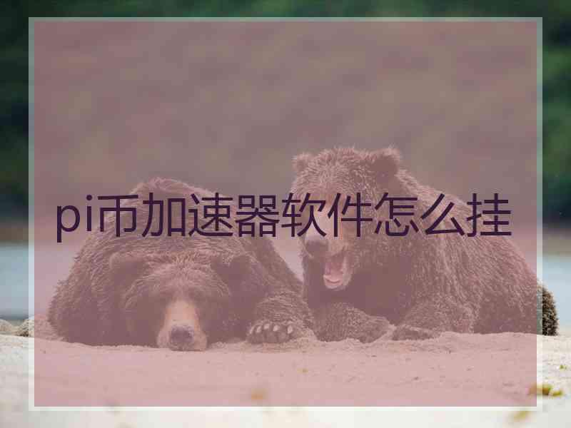 pi币加速器软件怎么挂