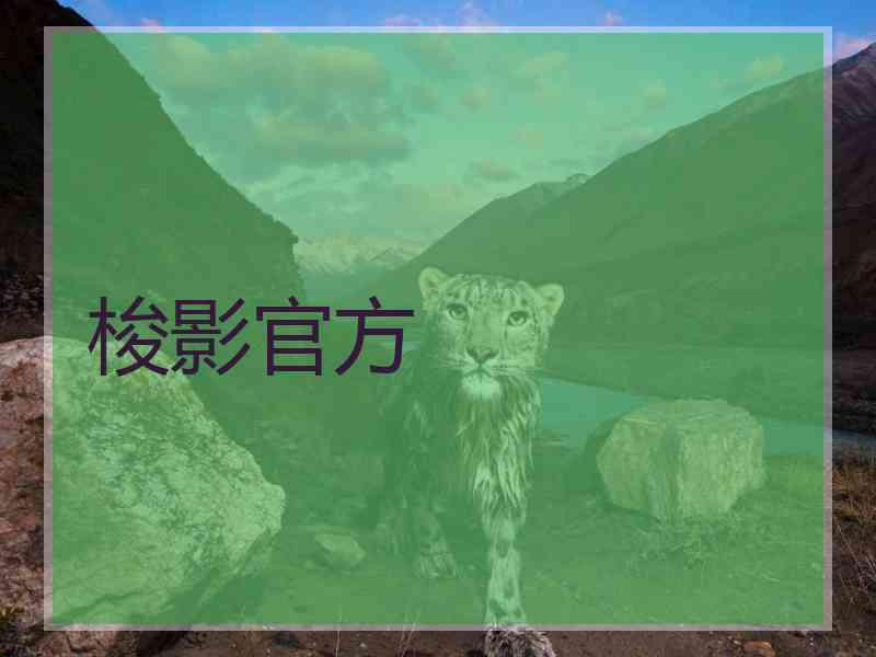 梭影官方