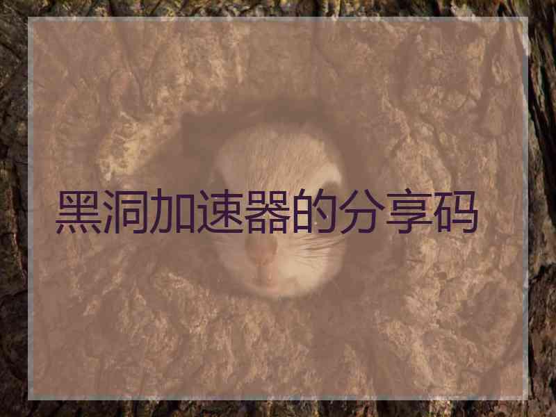 黑洞加速器的分享码