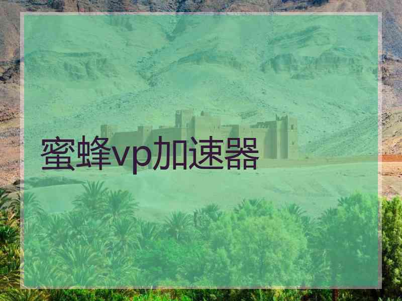 蜜蜂vp加速器