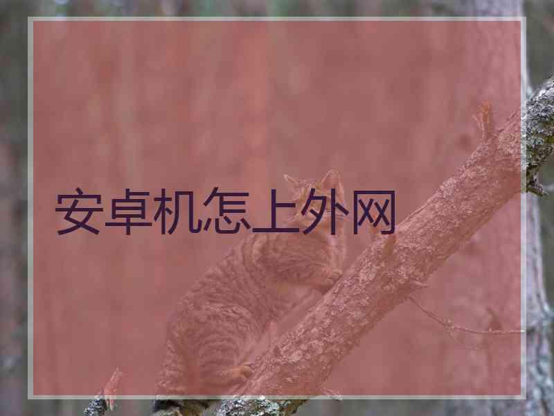 安卓机怎上外网